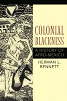 Negritud colonial: Una historia de Afro-México - Colonial Blackness: A History of Afro-Mexico