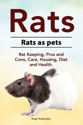 Ratas. Las ratas como animales de compañía. Tenencia de ratas, pros y contras, cuidados, alojamiento, dieta y salud. - Rats. Rats as pets. Rat Keeping, Pros and Cons, Care, Housing, Diet and Health.