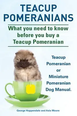 Pomerania en Taza de Té. Manual del Pomerania Miniatura o Pomerania Taza de Té. Lo que debe saber antes de comprar un pomerania. - Teacup Pomeranians. Miniature Pomeranian or Teacup Pomeranian Dog Manual. What You Need to Know Before You Buy a Teacup Pomeranian.