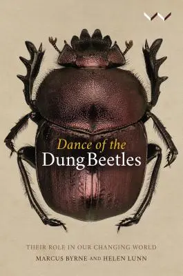 La danza de los escarabajos peloteros: Su papel en nuestro mundo cambiante - Dance of the Dung Beetles: Their Role in Our Changing World