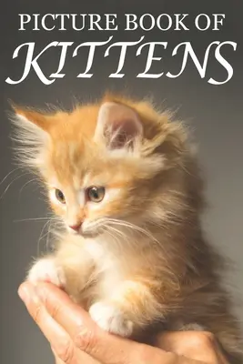 Libro de gatitos: Libro de gatitos: For Seniors with Dementia [Cute Picture Books] (Libro de gatitos con imágenes) - Picture Book of Kittens: Picture Book of Kittens: For Seniors with Dementia [Cute Picture Books]