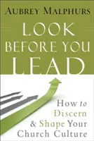 Mira antes de liderar: Cómo discernir y dar forma a la cultura de tu iglesia - Look Before You Lead: How to Discern and Shape Your Church Culture