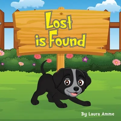 Perdido se encuentra - Lost is Found