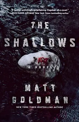 Los bajos fondos: Una novela de Nils Shapiro - The Shallows: A Nils Shapiro Novel