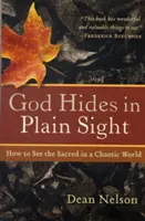 Dios se esconde a la vista: cómo ver lo sagrado en un mundo caótico - God Hides in Plain Sight: How to See the Sacred in a Chaotic World