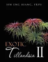 Tillandsia exótica II - Exotic Tillandsia II