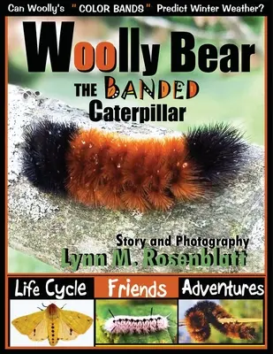 Oso lanudo, la oruga en banda: Ciclo vital, amigos y aventuras - Woolly Bear the Banded Caterpillar: Life Cycle, Friends and Adventures