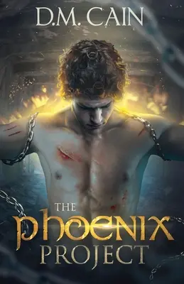 El proyecto Phoenix - The Phoenix Project