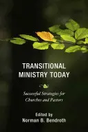 El ministerio de transición hoy: Estrategias exitosas para iglesias y pastores - Transitional Ministry Today: Successful Strategies for Churches and Pastors