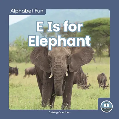 E de Elefante - E Is for Elephant