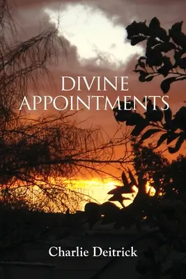 Citas Divinas - Divine Appointments