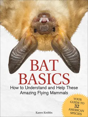 Conceptos básicos sobre murciélagos: Cómo entender y ayudar a estos increíbles mamíferos voladores - Bat Basics: How to Understand and Help These Amazing Flying Mammals