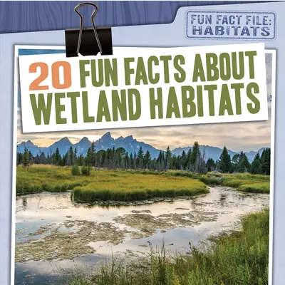 20 datos curiosos sobre los hábitats de los humedales - 20 Fun Facts about Wetland Habitats