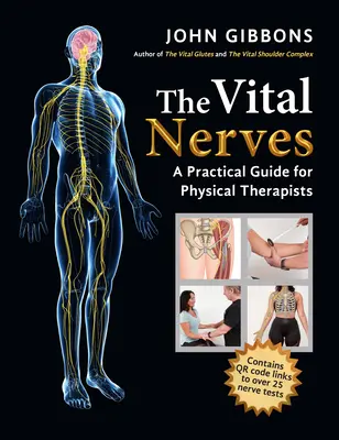 Los nervios vitales: Guía práctica para fisioterapeutas - The Vital Nerves: A Practical Guide for Physical Therapists