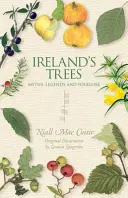 Los árboles de Irlanda - Ireland's Trees