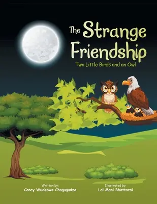 La extraña amistad: Dos pajaritos y un búho - The Strange Friendship: Two Little Birds and an Owl