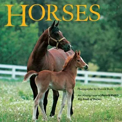 Caballos: Un resumen del Gran Libro de los Caballos de Harold Roth - Horses: An Abridgement of Harold Roth's Big Book of Horses