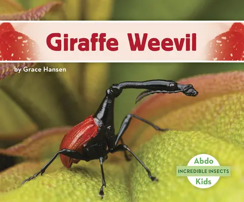 Gorgojo jirafa - Giraffe Weevil