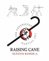 Raising Cane - El arte marcial inesperado - Raising Cane - The Unexpected Martial Art