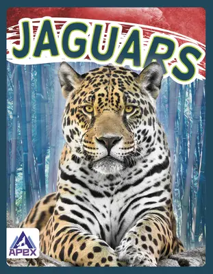 Jaguares - Jaguars