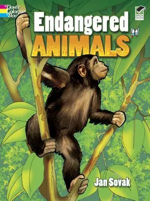 Libro para colorear de animales en peligro de extinción - Endangered Animals Coloring Book