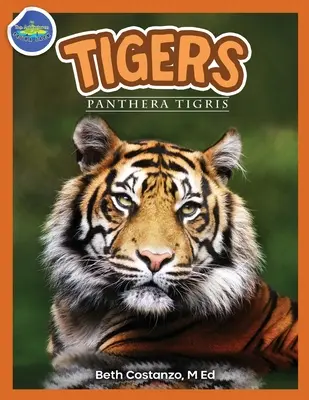 Tigres, Panthera Tigris 2-4 años - Tigers, Panthera Tigris ages 2-4