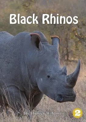 Rinocerontes negros - Black Rhinos