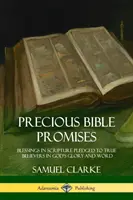 Preciosas Promesas Bíblicas: Bendiciones de las Escrituras prometidas a los verdaderos creyentes en la gloria y la palabra de Dios - Precious Bible Promises: Blessings in Scripture Pledged to True Believers in God's Glory and Word