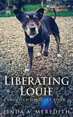 Liberando a Louie: El camino a Rutland - Liberating Louie: The Road To Rutland