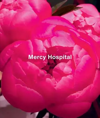 Ida Applebroog: Hospital de la Misericordia - Ida Applebroog: Mercy Hospital