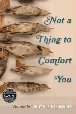 No hay nada que te consuele - Not a Thing to Comfort You