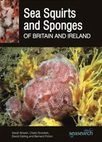 Esquirlas y esponjas marinas de Gran Bretaña e Irlanda - Sea Squirts and Sea Sponges of Britain and Ireland