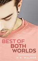 Lo mejor de dos mundos - Best of Both Worlds