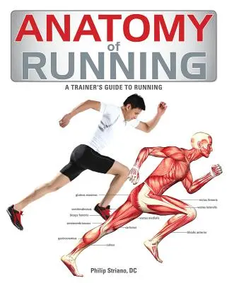 Anatomía de la carrera - Anatomy of Running