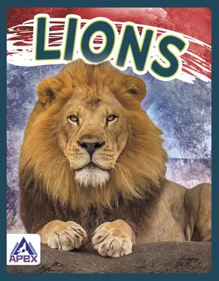 Leones - Lions