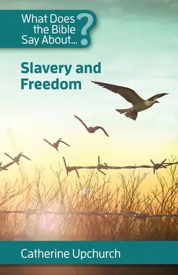 ¿Qué dice la Biblia sobre la esclavitud y la libertad? - What Does the Bible Say About Slavery and Freedom