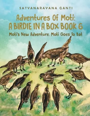 Aventuras De Moti Un Pajarito En Una Caja Libro 6: La Nueva Aventura De Moti. Moti Goes To Bat - Adventures Of Moti A Birdie In A Box Book 6: Moti's New Adventure. Moti Goes To Bat