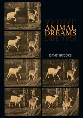 Sueños de animales - Animal Dreams