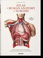 Bourgery. Atlas de Anatomía y Cirugía Humanas - Bourgery. Atlas of Human Anatomy and Surgery