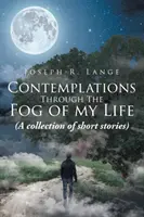 Contemplaciones a través de la niebla de mi vida: (colección de relatos cortos) - Contemplations Through the Fog of My Life: (a Collection of Short Stories)