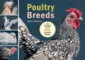 Razas Avícolas: Pollos, Patos, Gansos, Pavos: La guía de bolsillo de 104 razas esenciales - Poultry Breeds: Chickens, Ducks, Geese, Turkeys: The Pocket Guide to 104 Essential Breeds