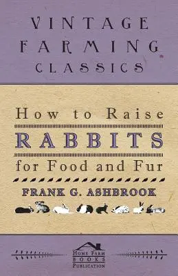 Cómo criar conejos para comer y para peletería - How To Raise Rabbits For Food And Fur