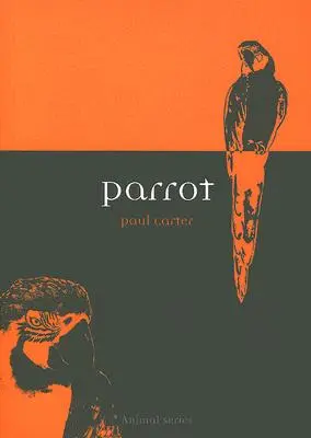 Loro - Parrot