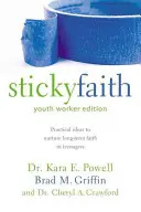 Sticky Faith, Youth Worker Edition: Ideas prácticas para alimentar la fe duradera en los adolescentes - Sticky Faith, Youth Worker Edition: Practical Ideas to Nurture Long-Term Faith in Teenagers