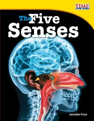 Los Cinco Sentidos - The Five Senses