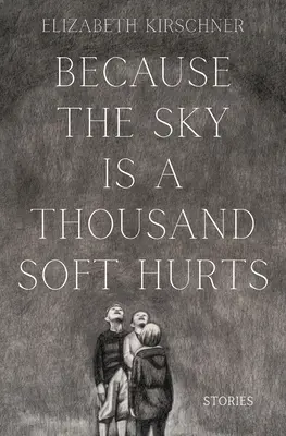 Porque el cielo son mil suaves heridas - Because the Sky is a Thousand Soft Hurts