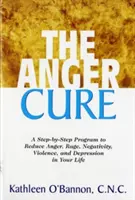 La Cura de la Ira: Un Programa Paso a Paso para Reducir la Ira, la Rabia, la Negatividad, la Violencia y la Depresión en tu Vida - The Anger Cure: A Step-By-Step Program to Reduce Anger, Rage, Negativity, Violence, and Depression in Your Life