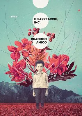 Desapareciendo, Inc. - Disappearing, Inc.