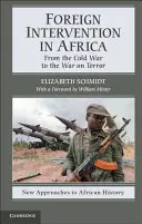 Intervención extranjera en África: De la Guerra Fría a la Guerra contra el Terror - Foreign Intervention in Africa: From the Cold War to the War on Terror