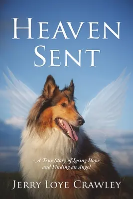 Heaven Sent: Una historia real de perder la esperanza y encontrar un ángel - Heaven Sent: A True Story of Losing Hope and Finding an Angel